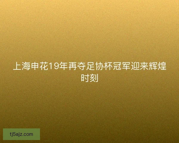 上海申花19年再夺足协杯冠军迎来辉煌时刻